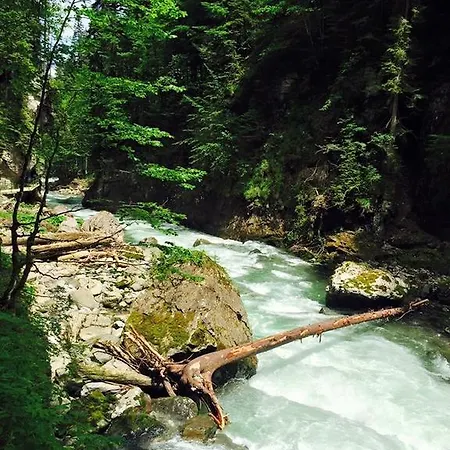 加尼里吉纳酒店 奥伯斯特多夫