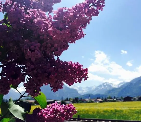 ガルニ レジーナ ベッド・アンド・ブレックファスト